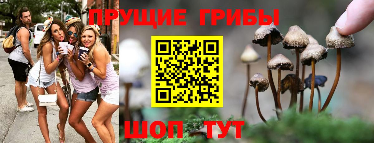Петрозаводск  Псилоцибиновые грибы ЛСД  Вход с VPN 